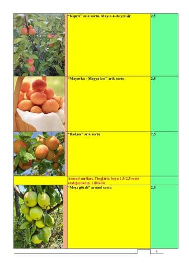 Çöl bitkiləri: Meyvə və dekorativ ağac tingləri Təsvir: - Tərtər rayonu ərazisində — 8