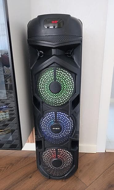 Portativ Bluetooth akustik kolonka karaoke. -Güclü səsə malik iri