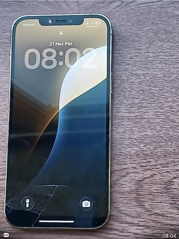 alfa electronics: IPhone 12 Pro Max, 256 GB, Qızılı, Face ID — 4