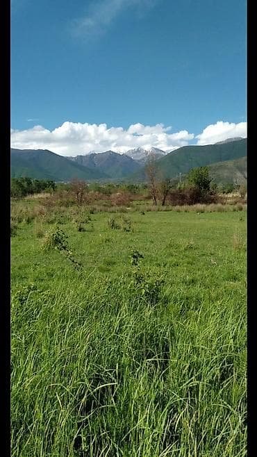 culyanda kiraye evler: Kənd təsərrüfatı — 10