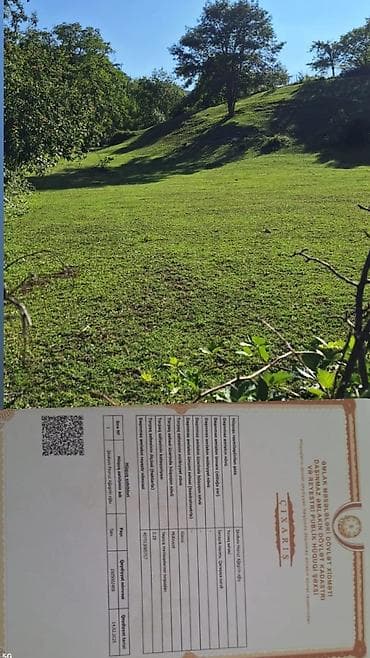 29 sot, Kupça (Çıxarış)