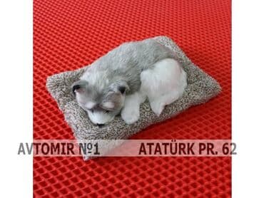 Dekorativ it N9 🚙🚒 Ünvana və Bölgələrə ödənişli çatdırılma 💳BIRKART