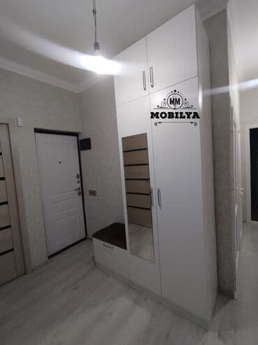 işlənmiş şfoner: Yeni, Açılan, 2 qapılı Düz dolab, Dəhliz dolabı, Azərbaycan — 2