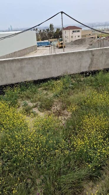 baku electronics xacmaz: 3 sot, Mülkiyyətçi, Bələdiyyə — 5