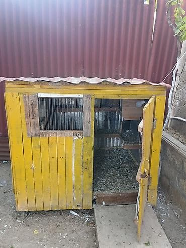 Heyvanlar üçün mallar: Taxta Quşxana 30 40 ədəd quş tutur - Material: ağac karkas, daxili — 1