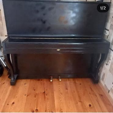 Piano, Belarus, Akustik