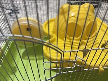 heyvan mal: Xırda gəmiricilər üçün qəfəs Hemstrlar və digər hamster növlərinə — 3