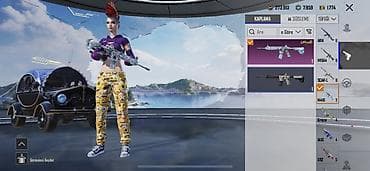Digər: PUBG Mobile oyun hesabı – müxtəlif nadir skinlər və laboratoriya — 1