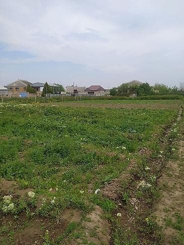ev sekli: 3 otaqlı, 250 kv. m, Orta təmir — 8