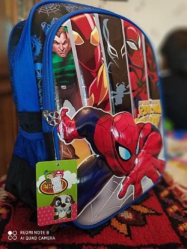 Məktəb çantaları