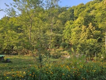 qaxda kirayə evlər 2023: 120 kv. m, 3 otaqlı, İnternet — 25