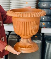 agac gulleri: Dibçək ayaqli Dekorativ — həm ev, həm də bağ üçün ideal — 3