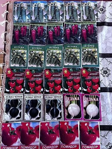 zire bitkisi: Məhsul: Toxum dəsti Təsvir: - Reyhan toxumları – iki növ: - Yaşıl — 2