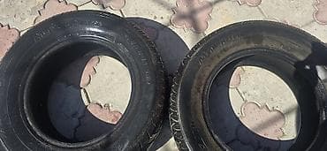 15 diskler: İki ədəd “MAGNUM” markalı yay/mövsümi minik avtomobili şini. Texniki — 3