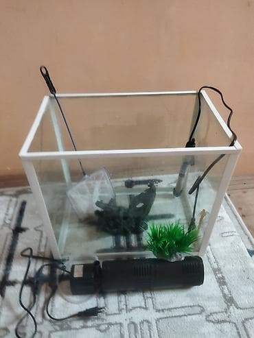 qoyun satisi 2024: Dördbucaq akvarium, Boş, 40 l, Ödənişli çatdırılma — 5