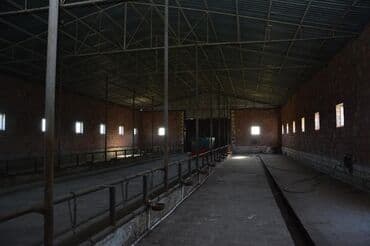 agdasda torpaq satilir teze: 300 sot, Biznes üçün, Mülkiyyətçi, Kupça (Çıxarış) — 7