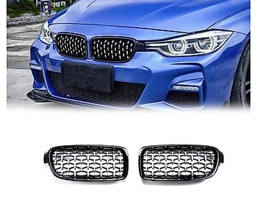 bmw f30 disk: BMW F30 üçün radiator damcı barmaqlıq — 1