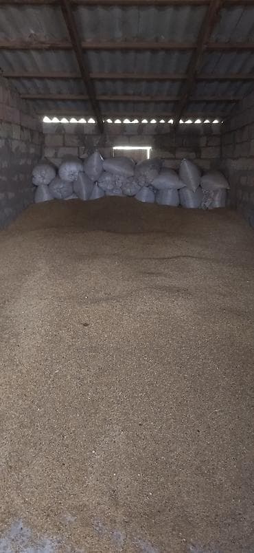 narda full paketler: Məhsul: Təmizlənmiş buğda dənəsi (dökmə və kisəli) 10 ton kim ne qədər — 2