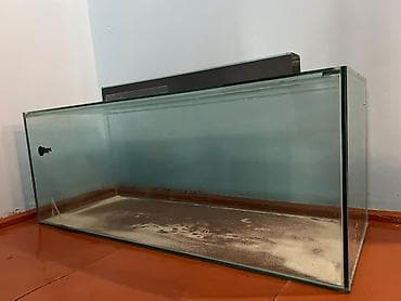 ay: Dördbucaq akvarium, Balıqlarla birlikdə, 145 l — 1