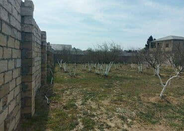 земельные участки в деревне: 12 соток, Для строительства, Риэлтор, Купчая — 2