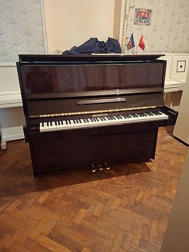 not dayağı: Piano, Belarus, Akustik, Yeni, Pulsuz çatdırılma — 1