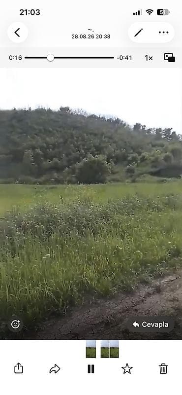 Quba seherinin deveci rayonu Zeyve kendi Devecinin alt yaninda 1hektar — 7