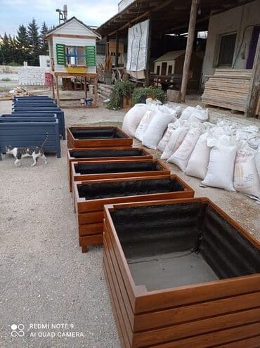 dibçek gulleri: Dibçək güldanlar. Dipçəklər bir başa sexdən.Sex qiymətinə. ♦️Endrim — 9