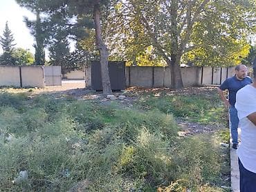 42 sot, Biznes üçün, Maklerlər narahat etməsin, Kupça (Çıxarış) — 2