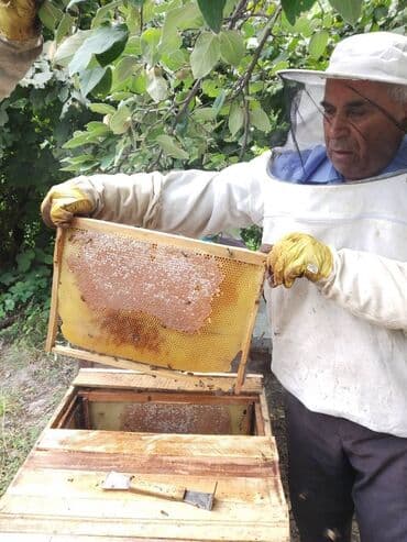 meşə balı: Ismayilli mese bali. 1 kg - 30 azn Ariciliq teserrufati Ismayilli — 3