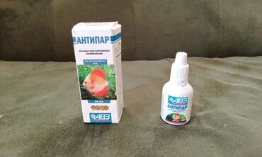 azerbaycanca pişik adlari: Salam! 1 şəkil -Akvarium - 35 manata 40 idi 2 şəkil -filtr - 16 — 5