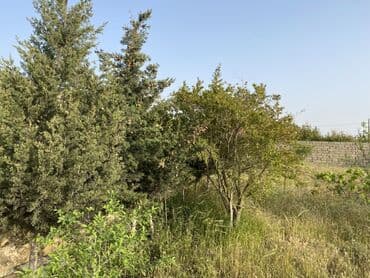 gencede ucuz evler 2023: Bağ evi satilir. Bakı ş, Lehiş bağları 27- ci dalan( Sea Breeze) — 28
