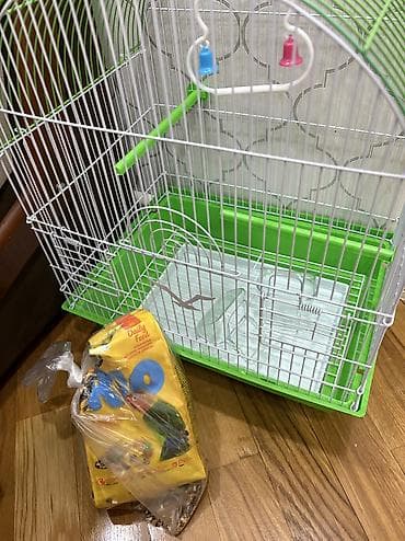Зоотовары: Kletka Qəfəs tam yenidir, içində heç bir quş yaşamayıb. Yemlə — 2