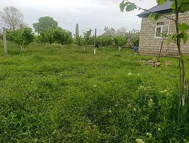 bilecer kiraye evler: Xaçmaz, 65 kv. m, 3 otaqlı, Hovuzlu, İşıq, Su, Kanalizasiya — 2