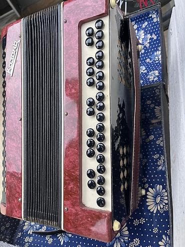 beqavoy satisi: Akustik Akkordeon, İşlənmiş — 2