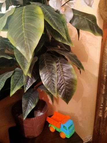 Nənnilər: Uşaq oyuncaqları – plastik ekskavator və dump truck dəsti ikisine 5 — 2