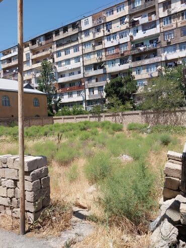 sabuncu qəsəbəsi: 9 sot, Biznes üçün, Makler, Kupça (Çıxarış) — 5