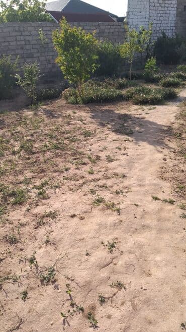 guven emlak mingecevir: Buzovna vişnovka .Tam dolu satlir eşyalarla birlikde — 11