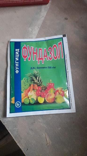 samovar mis: Bağ və otaq bitkiləri üçün kompleks mühafizə və qidalandırma dəsti — 3