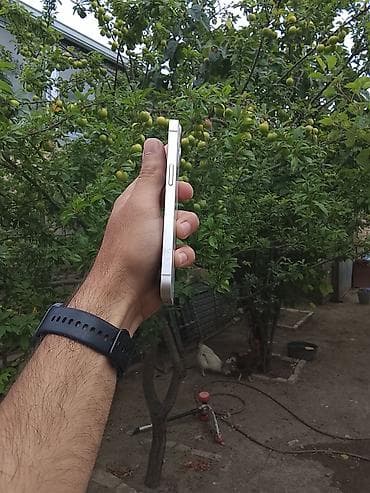 hard disk notebook: IPhone 13, 128 GB, Ağ, Simsiz şarj — 4