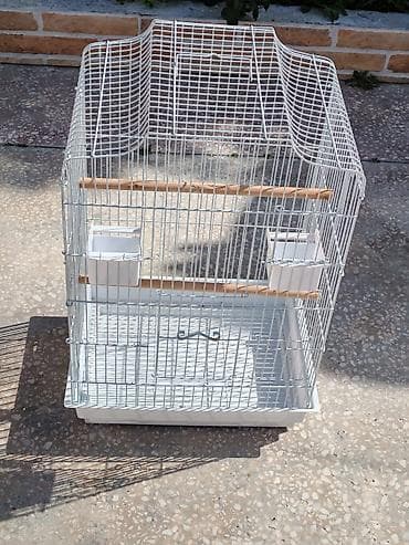 Qəfəs böyükdür, cüt korella saxlamaq üçün əlverişlidir. Quş qəfəsi –