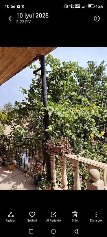 qubada ev kiraye: Həyət evi, yaşıllıqla əhatə olunmuş geniş həyəti və rahat yaşayış — 2