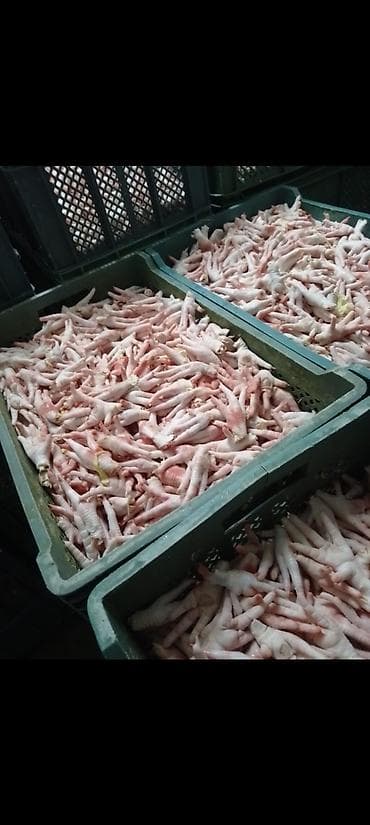 pul qab: It yemi toyuq ayağı təzədir hərgün olur hərcins itlər rahat yeyir — 2