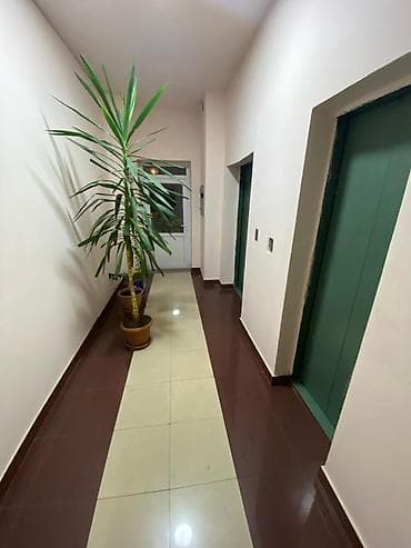 ikinci el qaplar: Kirayə verilir. Şəhərin mərkəzində inqilabda. Ciddi insanlar narahat — 6