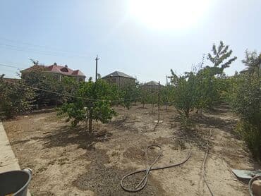 аренда и продажа недвижимости: 5 sot, Tikinti, Kupça (Çıxarış) — 2