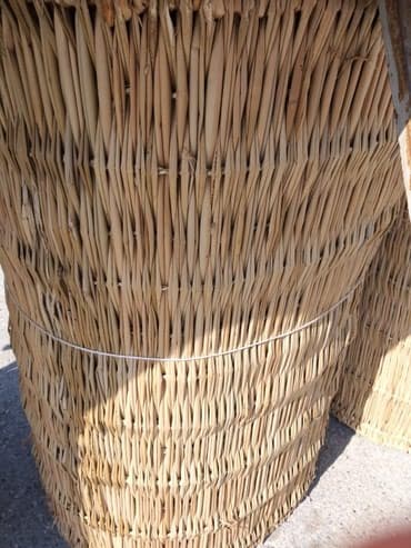 Toxumlar: Arakəsmələr üçün,çay evləri, rstoranlar, besetka, balkonlar üçün — 1