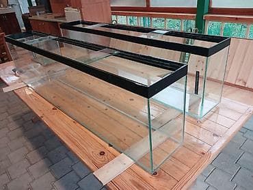 akvarium satılır: Akvaryum dəsti - 3 ədəd şüşə akvaryum: ikisi uzun ölçülü, üst hissədə — 2