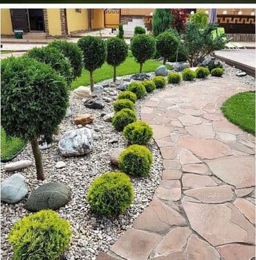 lipa ağacı: Dekarativ agaclarin satisi qazon torpaq torf diger gubrelerin satisi — 6