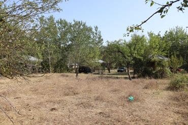 продажа недвижимости в баку: 2000 sot, Tikinti, Mülkiyyətçi, Kupça (Çıxarış), Bələdiyyə — 22