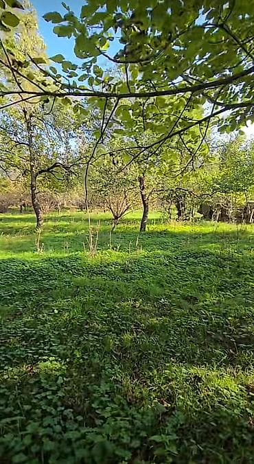 evlərin qiyməti: 27 sot, Tikinti, Mülkiyyətçi, Kupça (Çıxarış) — 3