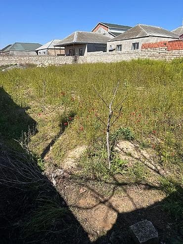 samaxida torpaq: 6 sot — 6